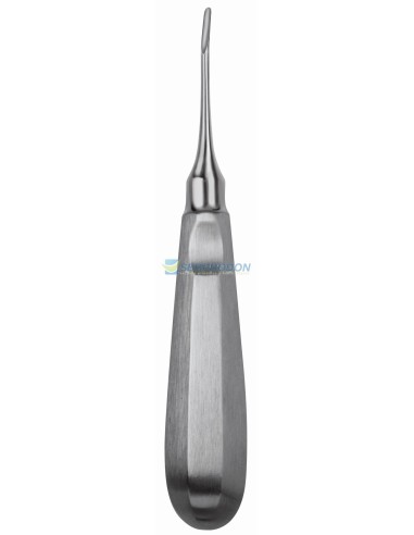 Luxador Apical curvo Fig.1A (2mm) extremo semicircular