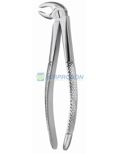 Forcep para molares derecho Fig. 23